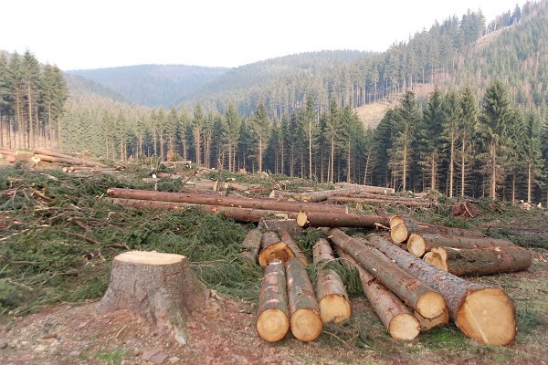 Southwood Resource 1