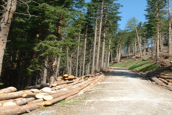 Southwood Resource 2